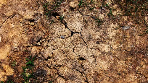 Loire : la sécheresse s'aggrave dans le département