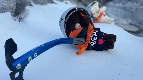Roanne : les doudous d'Eden & Abel ont gravi le mont Blanc