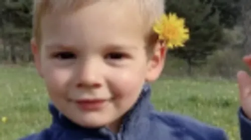 Affaire Emile : les fouilles sous une dalle en béton n'ont rien donné