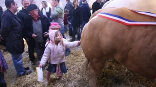 Saint-Galmier : La Foire de la Sainte-Catherine est de retour !