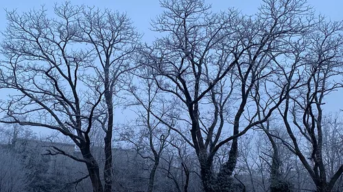 Loire : une chute drastique des températures annoncée