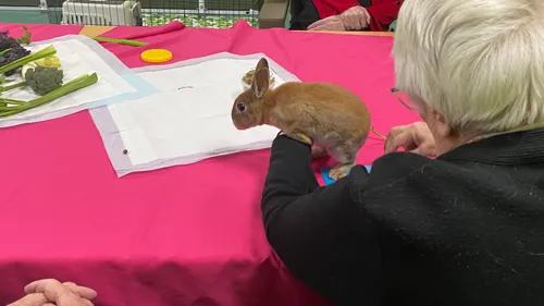 Des séances de médiation animale proposées dans les EPHAD stéphanois