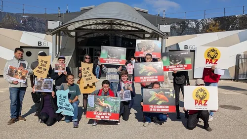 Saint-Etienne : L'association PAZ annule finalement sa mobilisation...