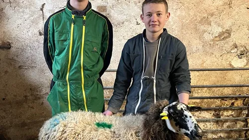 Meilleur jeune berger de France : 2 Ligériens en lice 