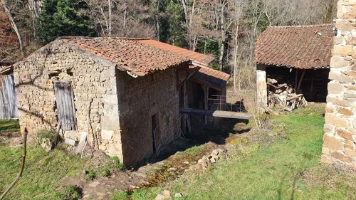 Loire : Le Moulin de l’Hermite à Périgneux fait partie des lauréats...
