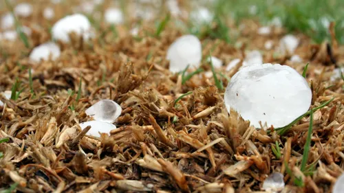 Loire : De la grêle jusqu'à 5 cm de diamètre et des vents pouvant...
