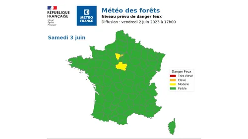 Incendies : La météo des forêts est lancée