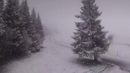 Haute-Loire : la neige a fait son retour sur les hauteurs