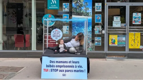Saint-Etienne : L'association PETA a organisé une action devant TUI...