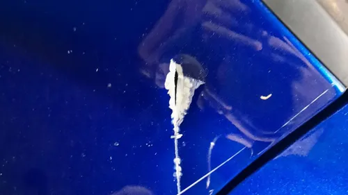 ASSE/LOSC : une plainte déposée par le club lillois