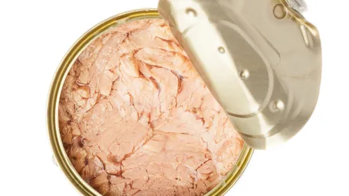 Deux ONG alertent sur la présence de mercure dans des boites de thon