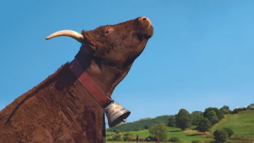 Ovalie : Nouvelle égérie du Salon de l'Agriculture