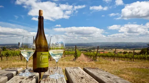 Roannais : une quarantaine de visites guidées pour (re)découvrir le...