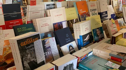 Les premiers livres de la rentrée littéraire sortent ce mercredi 
