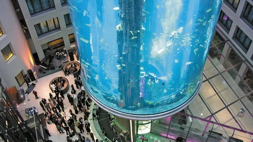 Le plus gros aquarium cylindrique du monde a éclaté à Berlin