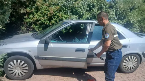 Outreau: Deux chiens sauvés après être restés plusieurs heures...