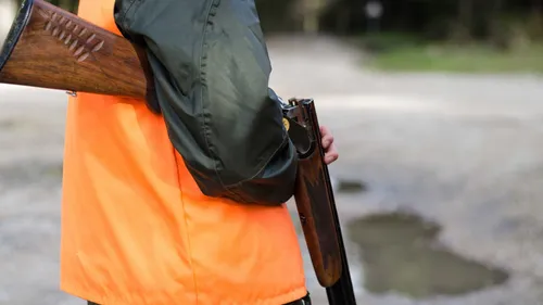 Aisne : la balle perdue d'un chasseur a traversé une maison à...