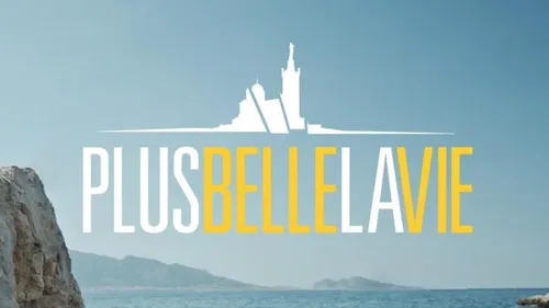Télévision : la série "Plus belle la vie" va s'arrêter