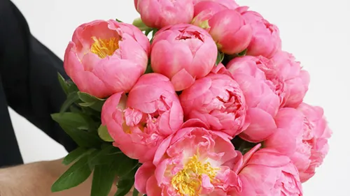 GAGNEZ VOTRE BOUQUET POUR LA FETE DES MERES 