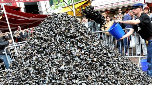 Une braderie de Lille exceptionnelle! 