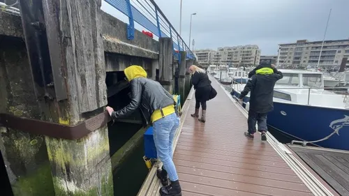 Disparition de Louis Menue à Dunkerque : l'une de ses chaussures...