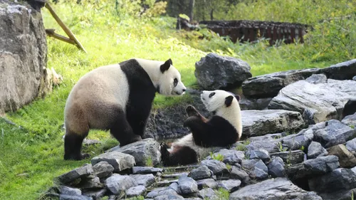 GAGNEZ VOS ENTRÉES A PAIRI DAIZA POUR TOUTE LA FAMILLE !