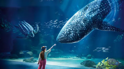 GAGNEZ VOS INVITATIONS EN FAMILLE A NAUSICAA !