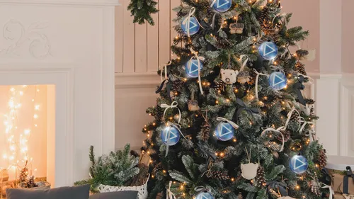 GAGNEZ VOTRE SAPIN DE NOËL SUR RADIO CONTACT !