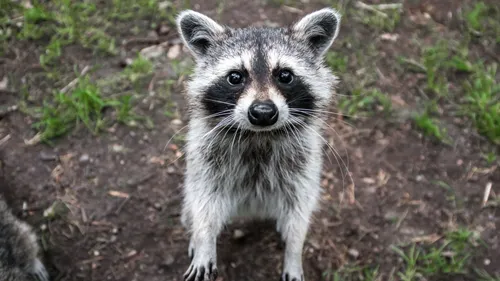 GAGNEZ VOS ENTRÉES POUR LE PARC ARGONNE DECOUVERTE !