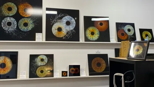 GAGNEZ UNE PHOTO DE L'IRIS DE VOTRE OEIL ET CELLE DE LA PERSONNE DE...