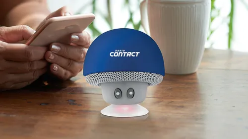 GAGNEZ VOTRE ENCEINTE BLUETOOTH RADIO CONTACT !