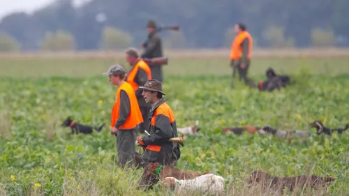 Une enquête ouverte après la mort d'un chasseur tué par balle dans...