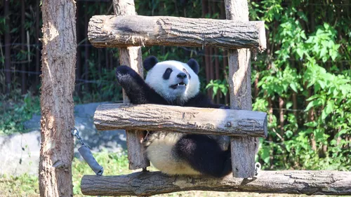 A partir du 1er novembre, le pass sanitaire sera obligatoire pour...