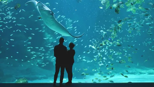 GAGNEZ VOS INVITATIONS EN FAMILLE A NAUSICAA