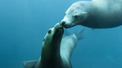 GAGNEZ VOS ENTRÉES A NAUSICAA