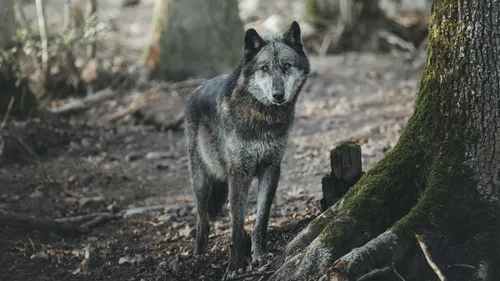 GAGNEZ VOS ENTRÉES AU PARC ARGONNE DÉCOUVERTE !