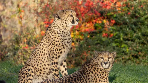 GAGNEZ VOS ENTRÉES A PAIRI DAIZA POUR TOUTE LA FAMILLE