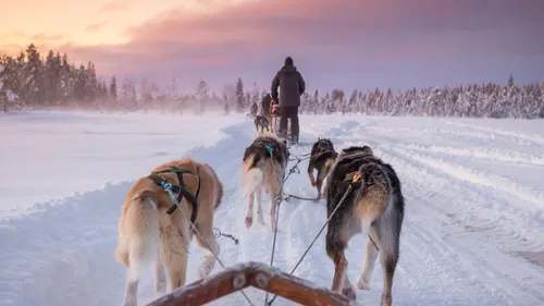 GAGNEZ VOTRE VOYAGE EN LAPONIE