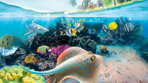 Gagnez vos entrées pour Nausicaa