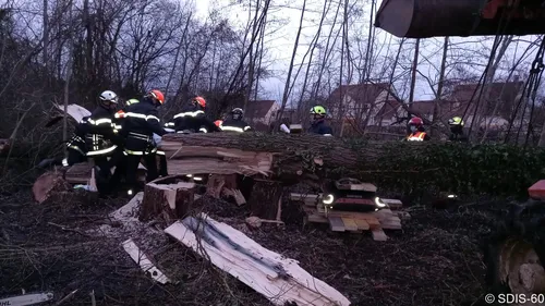 Un homme meurt écrasé par un arbre dans l'Oise