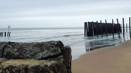 Grippe aviaire : nouveaux cas retrouvés à Oye-Plage, la zone de...