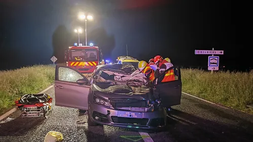 Oise : collision entre une voiture et des chevaux cette nuit à...