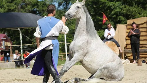 Carte Postale : Champagne FM vous fait découvrir le spectacle...