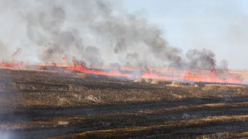 Oise : le département placé en risque incendie très sévère