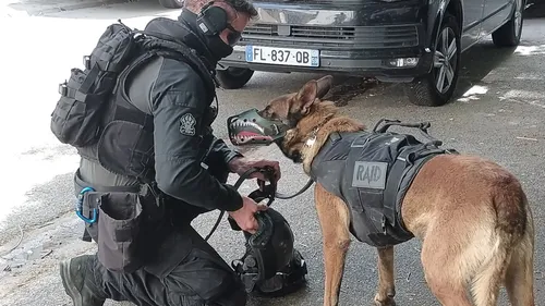 Laon : le RAID appelé en renfort pour un homme armé et retranché à...