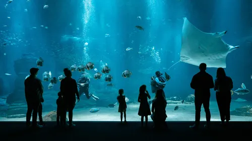 Un exercice de sécurité aura lieu ce vendredi à Nausicaá