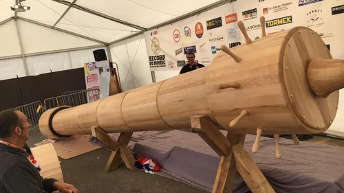 Record : le plus grand poivrier du monde est dans la région !