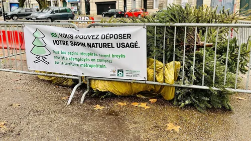 Gironde et Lot-et-Garonne : où jeter son sapin de Noël après les...