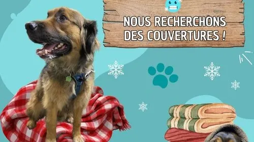 La Lisa a besoin de vos dons !