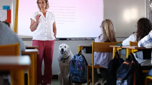 Rentrée scolaire: Un camarade pas comme les autres, à Marles-les-Mines